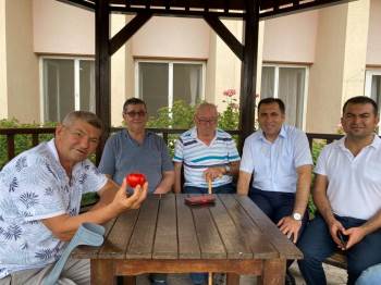 Huzurevine Ekilen Domateslerin İlk Hasadı Yapıldı
