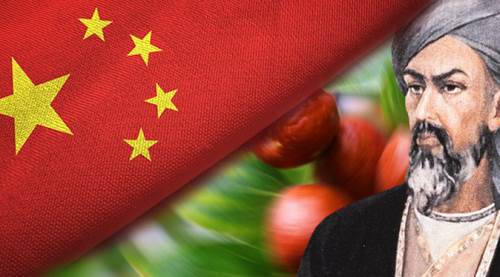 İbn-i Sina'nın ve Çinlilerin övdüğü o meyve Eskişehir'de! İşte fiyatı...