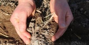 Çiftçiler: Artık güvenimiz kalmadı