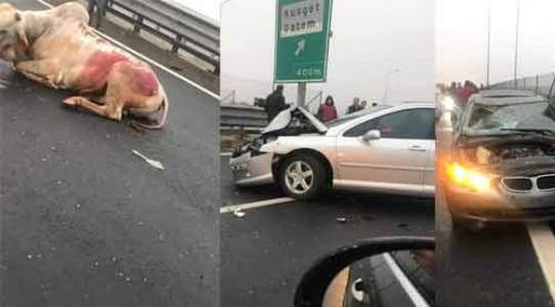 İki araç hasar gördü, kara yolunda kestiler!