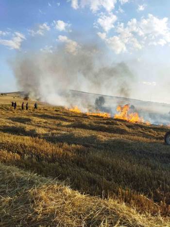 İki Ayrı Noktada Çıkan Yangında 30 Dekar Mahsul Heba Oldu
