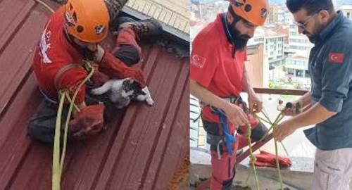 İki bina arasında mahsur kalan kedi böyle kurtarıldı