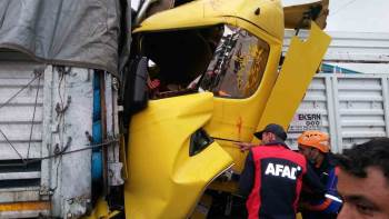 İki Tırın Çarpıştığı Kazada 3 Kişi Yaralandı, 8 Büyükbaş Hayvan Telef Oldu
