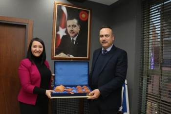 İl Koordinatörü Karagöz, Başkan Tekin’İ Ziyaret Etti
