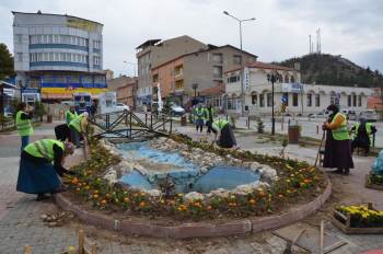 İlçe Merkezi Çiçeklerle Donatıldı
