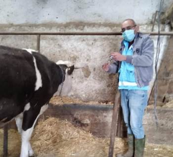 İlçe Merkezi Ve Köylerde ’’Şap’’ Aşısı Kampanyası
