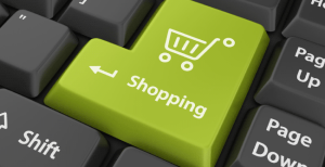 İlçeler internetten alıyor