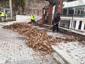 Ilıca’Da Kış Temizliği
