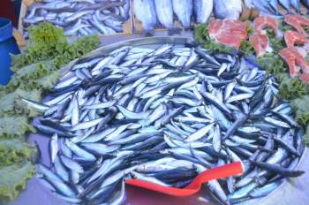 İlk Gün Hamsi El Yaktı
