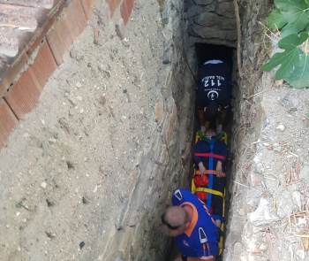 İncir Toplayayım Derken Az Kalsın Canından Olacaktı
