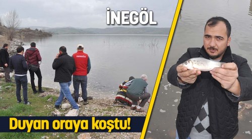 İnegöl'de balıklar karaya vurdu!