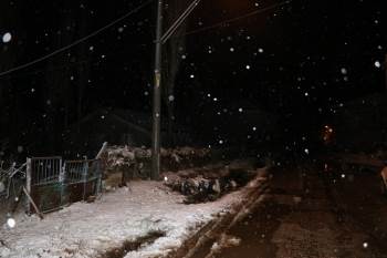 İnekler Sulamaya Götürülürken Yüksek Gerilime Kapıldı
