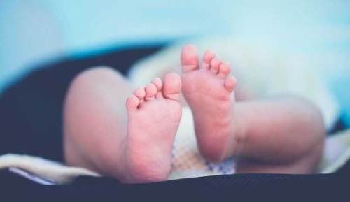 İnmemiş testis prematüre bebeklerde daha sık görülüyor