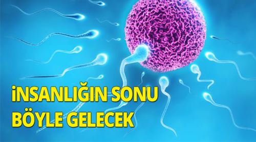 İnsanlığın sonu böyle gelecek