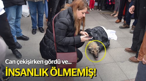 İnsanlık ölmemiş dedirten görüntü!