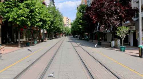  İnsansız Eskişehir'de sokaklar onlara kaldı