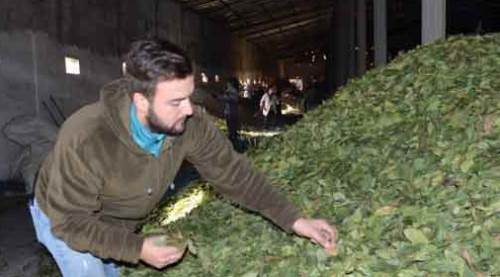 İnternette gördü, şimdi paraya para demiyor!