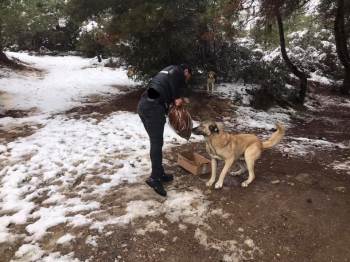 İş İnsanından Örnek Davranış
