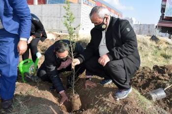 İscehisar’Da 300 Fidan Dikildi
