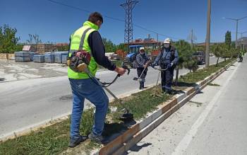 İscehisar’In Yeşil Alanları Güzelleşiyor
