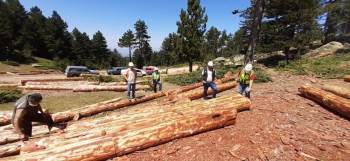 İşletme Ve Pazarlama Konusunda İç Denetimler
