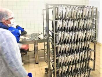 İşletmeler Ve Pazar Yerlerinde Balık Denetimi Yapıldı
