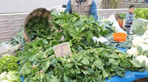 Ispanak değil şeytan elması zehirliyor