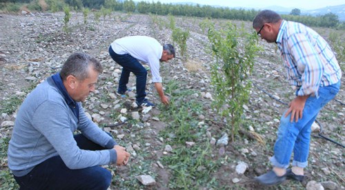 İstanbul'da beklenen dolu Bilecik'i vurdu