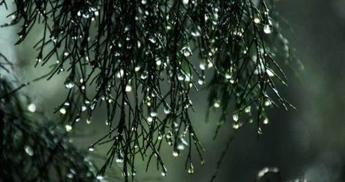 İstanbul hava durumu - 1 Mayıs 2025