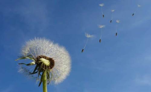 İstanbul hava durumu - 29 Nisan 2025