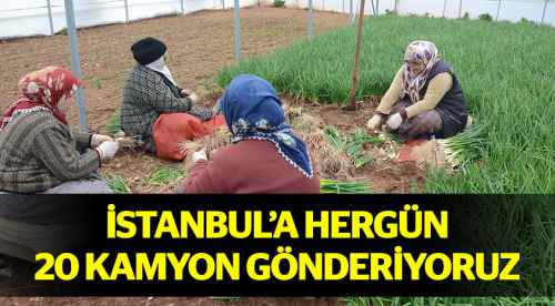 İstanbul'un yeşilliğini biz gönderiyoruz