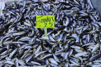 İstavrit Bolluğu Tezgahlara Yansıdı
