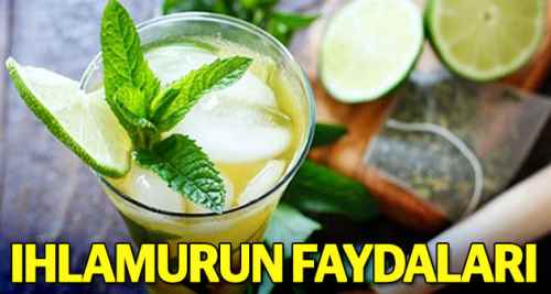 İşte bir fincan ıhlamurun faydaları
