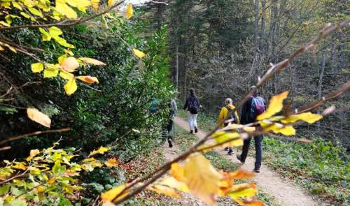 İşte Eskişehir'den sizi doğa yürüyüşüne çıkaracak görüntüler