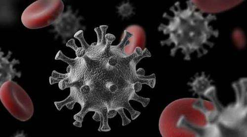 İşte Türkiye'de son 24 saatin koronavirüs verileri...