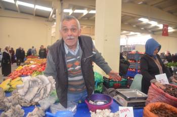 İstiridye Mantarına İlgi Büyük
