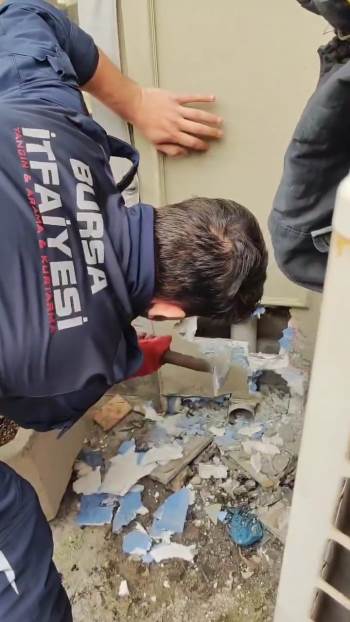 İtfaiyeden "yavru kedi" operasyonu