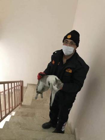 İtfaiyeden Kedi Kurtarma Operasyonu
