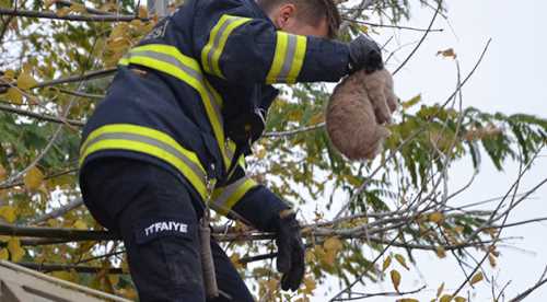 İtfaiyeden kedi operasyonu