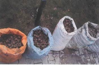 İzinsiz Salyangoz Toplayan 5 Kişiye 10 Bin Lira Para Cezası
