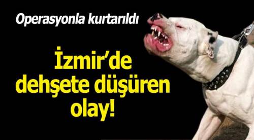 İzmir'de dehşet veren olay!