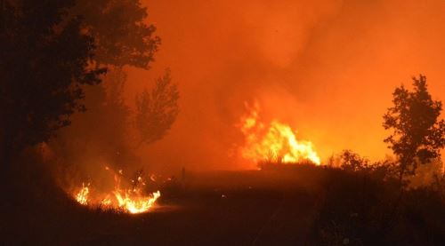 İzmir'de korkutan yangın, söndürülemiyor