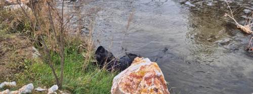 İzmir-Eskişehir hattında feci kaza: Olay yerinde yaşamını yitirdi!