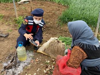 Jandarma 39 Kadının Telefonuna Kades Uygulaması İndirdi
