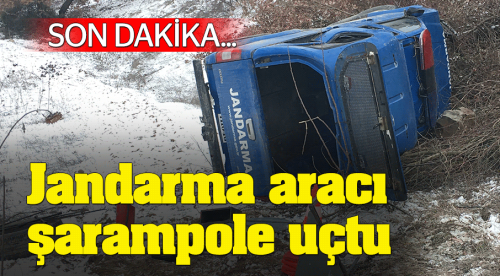 Jandarma aracı şarampole uçtu