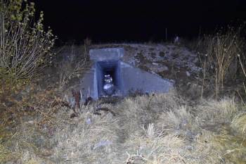 Jandarma Çalınan Malzemeleri Menfezde Buldu
