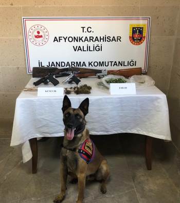 Jandarma Kenevir Yetiştiricilerini Yakaladı
