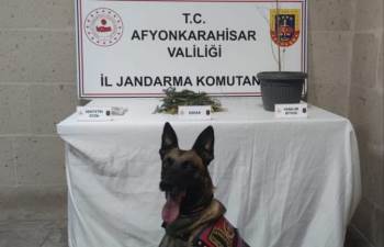 Jandarma Yaptığı Baskında Kenevir Ve Esrar Ele Geçirdi
