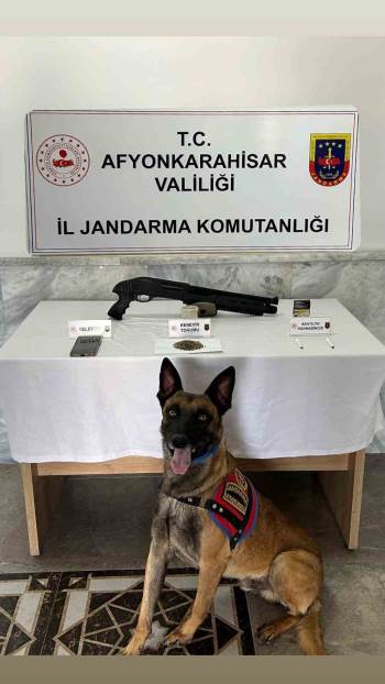 Jandarmadan Uyuşturucu Operasyonu
