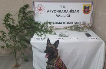 Jandarmadan Uyuşturucuya Geçit Yok
